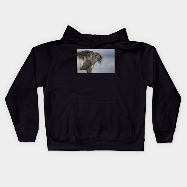 Just A Bunch Of Posers Kids Hoodie by hton